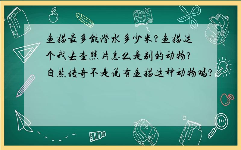 鱼猫最多能潜水多少米?鱼猫这个我去查照片怎么是别的动物?自然传奇不是说有鱼猫这种动物吗?