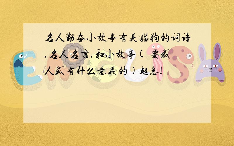 名人勤奋小故事有关猫狗的词语,名人名言,和小故事( 要感人或有什么意义的)超急!