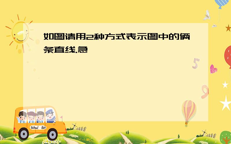 如图请用2种方式表示图中的俩条直线.急