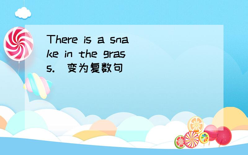 There is a snake in the grass.(变为复数句)