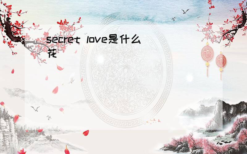 secret love是什么花