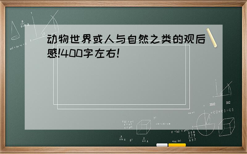 动物世界或人与自然之类的观后感!400字左右!