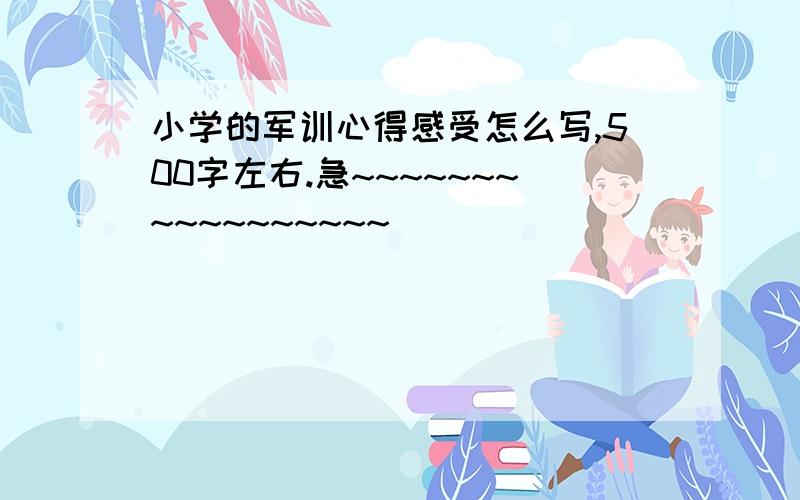 小学的军训心得感受怎么写,500字左右.急~~~~~~~~~~~~~~~~~