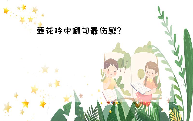 葬花吟中哪句最伤感?