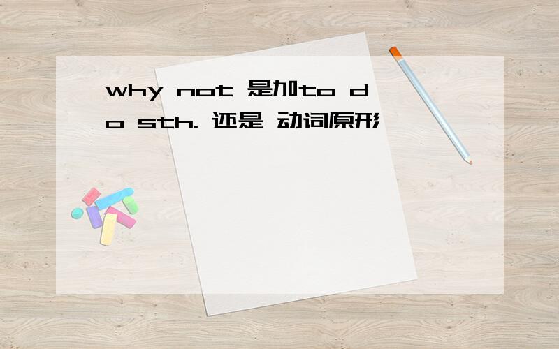 why not 是加to do sth. 还是 动词原形