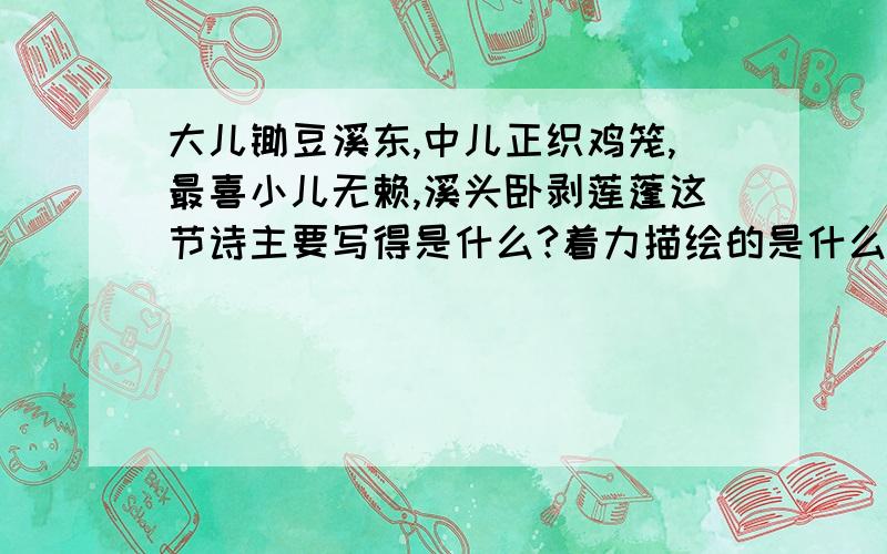 大儿锄豆溪东,中儿正织鸡笼,最喜小儿无赖,溪头卧剥莲蓬这节诗主要写得是什么?着力描绘的是什么?