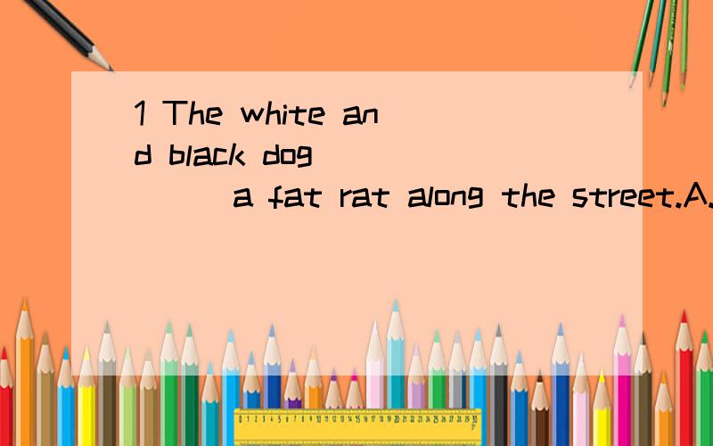 1 The white and black dog _____a fat rat along the street.A.is after B.are after C.is catching D.are catching2 Which do you enjoy ____ your weekends,fishing or watching TV?A.spending B.to spend C.being spent D.spend3 Did sandra say anything about me