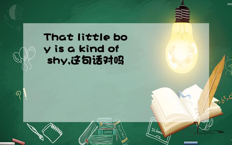 That little boy is a kind of shy,这句话对吗