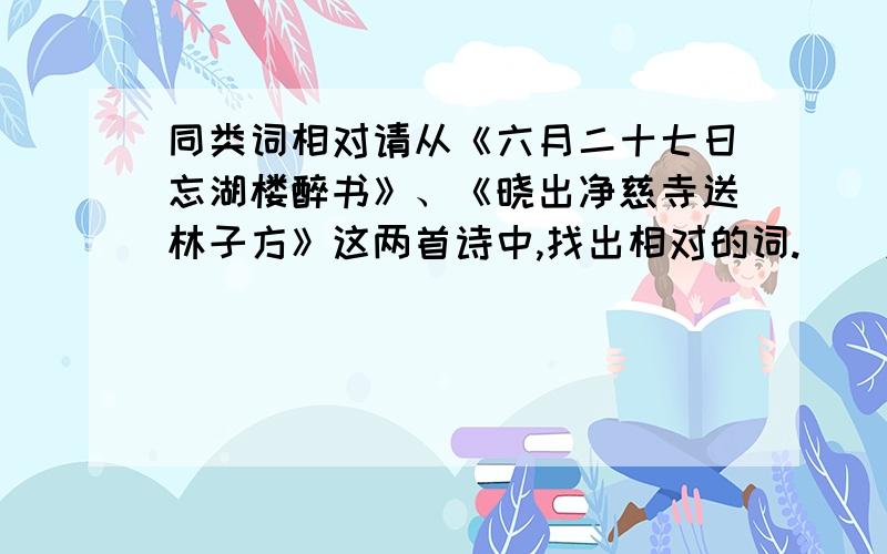 同类词相对请从《六月二十七日忘湖楼醉书》、《晓出净慈寺送林子方》这两首诗中,找出相对的词.（）对（）,（）对（）,（）对（）.