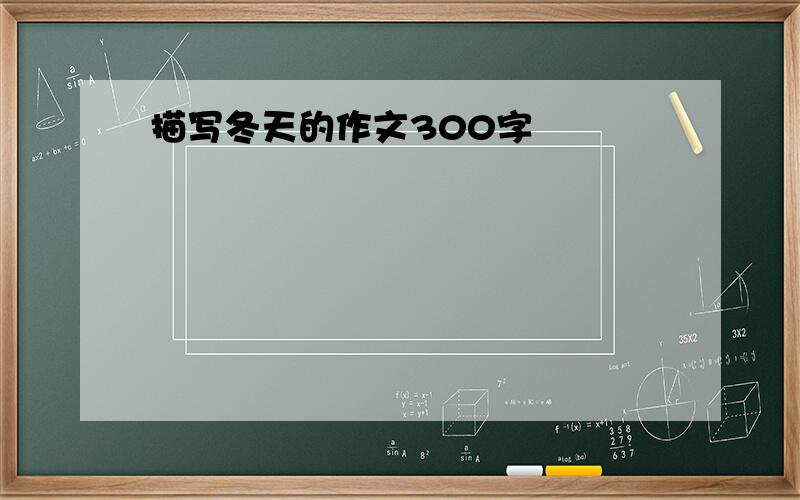 描写冬天的作文300字