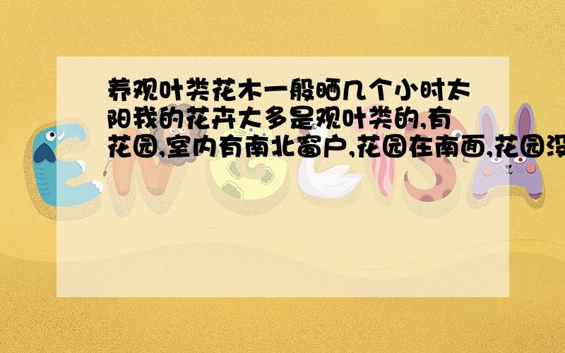 养观叶类花木一般晒几个小时太阳我的花卉大多是观叶类的,有花园,室内有南北窗户,花园在南面,花园没有低矮的灌木或树,请问观叶类植物在室内放那个窗台合适,南窗日照长,北窗过于阴蔽