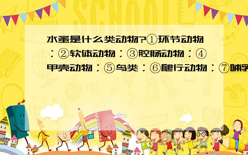 水蚤是什么类动物?①环节动物；②软体动物；③腔肠动物；④甲壳动物；⑤鸟类；⑥爬行动物；⑦哺乳动物；⑧鱼类.