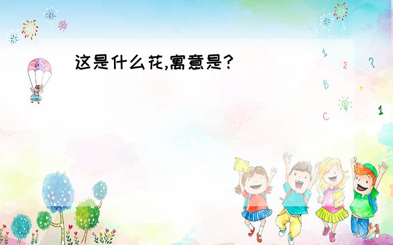 这是什么花,寓意是?