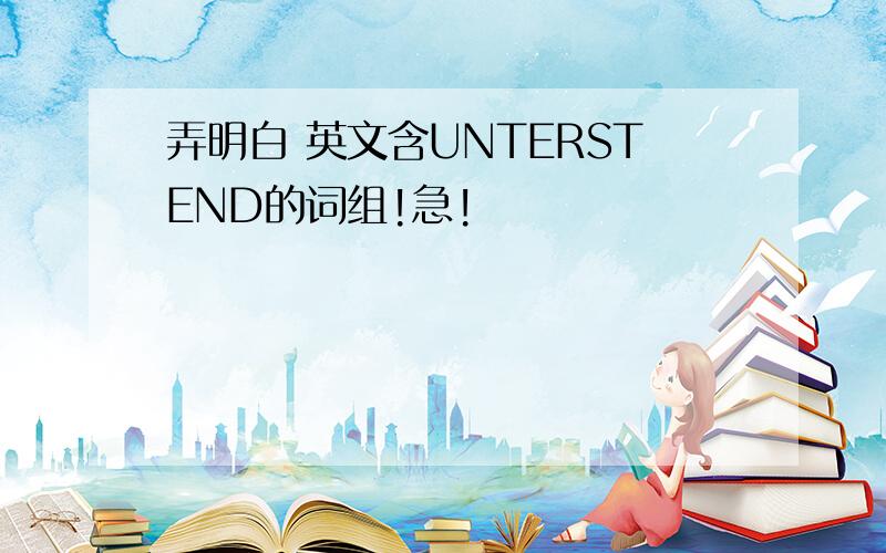 弄明白 英文含UNTERSTEND的词组!急!