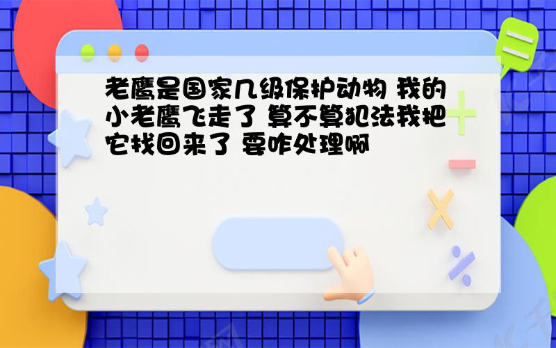 老鹰是国家几级保护动物 我的小老鹰飞走了 算不算犯法我把它找回来了 要咋处理啊