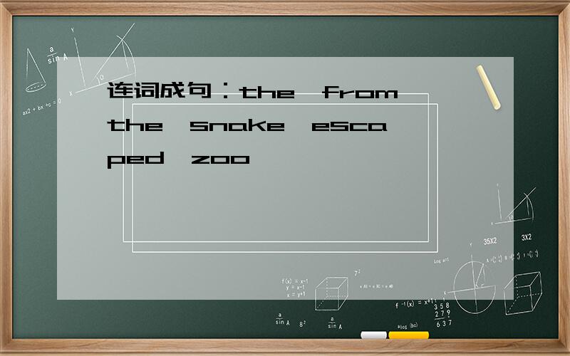 连词成句：the,from,the,snake,escaped,zoo