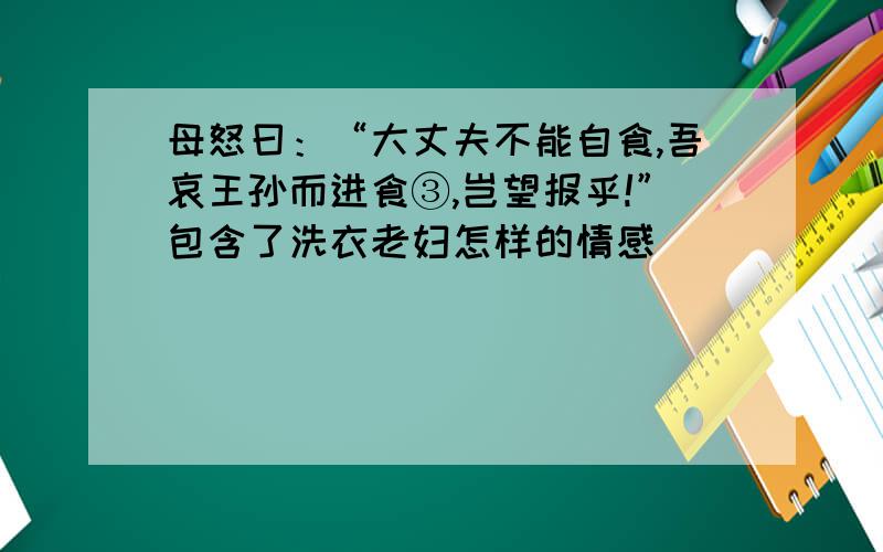 母怒曰：“大丈夫不能自食,吾哀王孙而进食③,岂望报乎!”包含了洗衣老妇怎样的情感