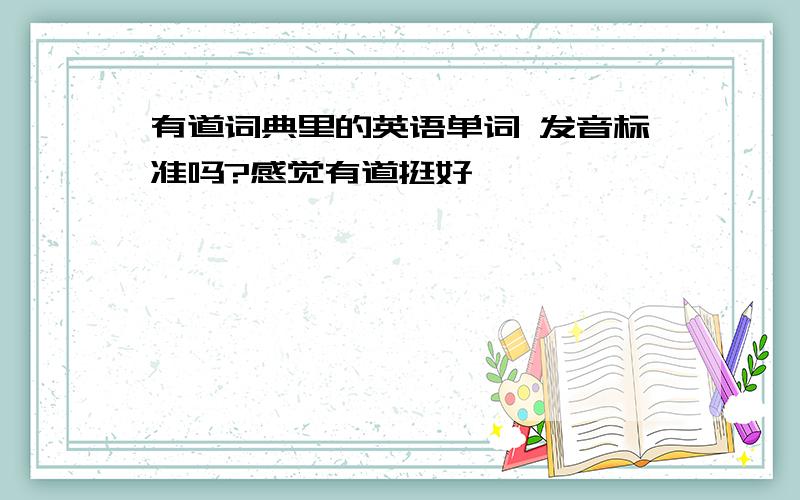 有道词典里的英语单词 发音标准吗?感觉有道挺好