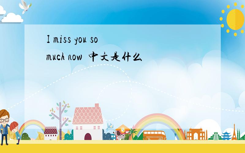 I miss you so much now中文是什么