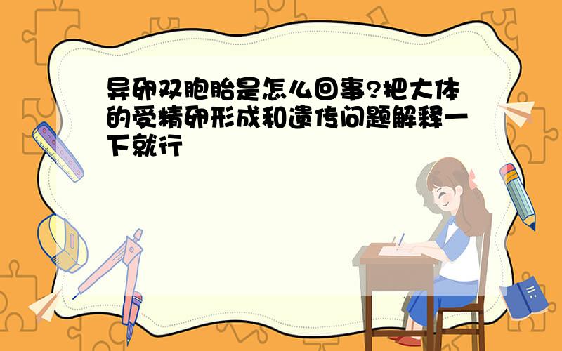 异卵双胞胎是怎么回事?把大体的受精卵形成和遗传问题解释一下就行