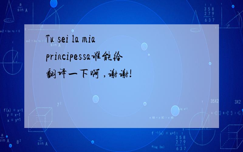 Tu sei la mia principessa谁能给翻译一下啊 ,谢谢!