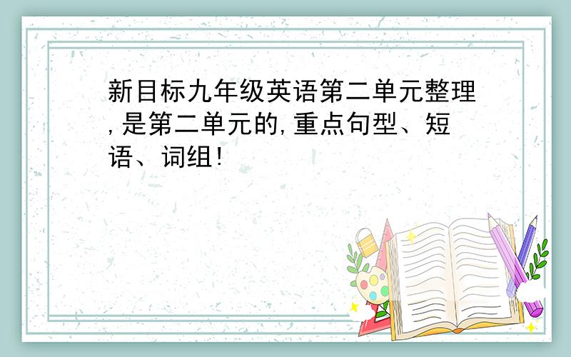 新目标九年级英语第二单元整理,是第二单元的,重点句型、短语、词组!