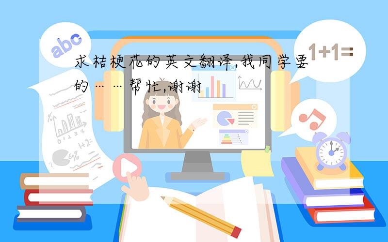 求桔梗花的英文翻译,我同学要的……帮忙,谢谢