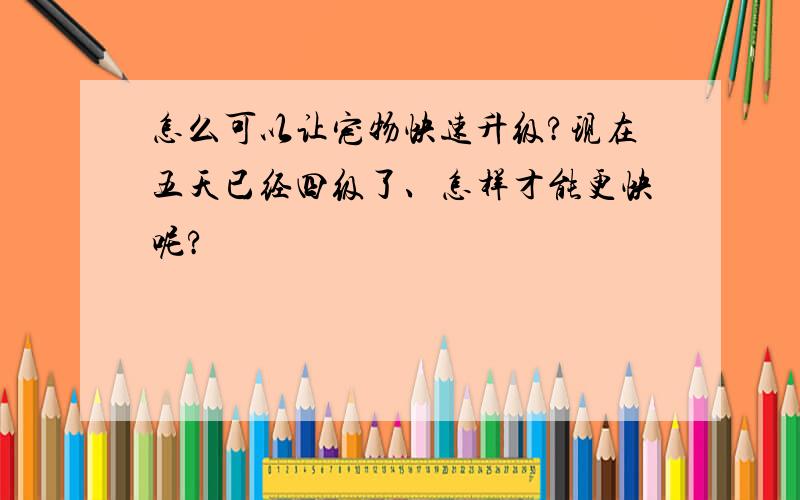 怎么可以让宠物快速升级?现在五天已经四级了、怎样才能更快呢?