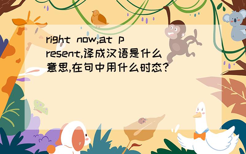 right now,at present,译成汉语是什么意思,在句中用什么时态?