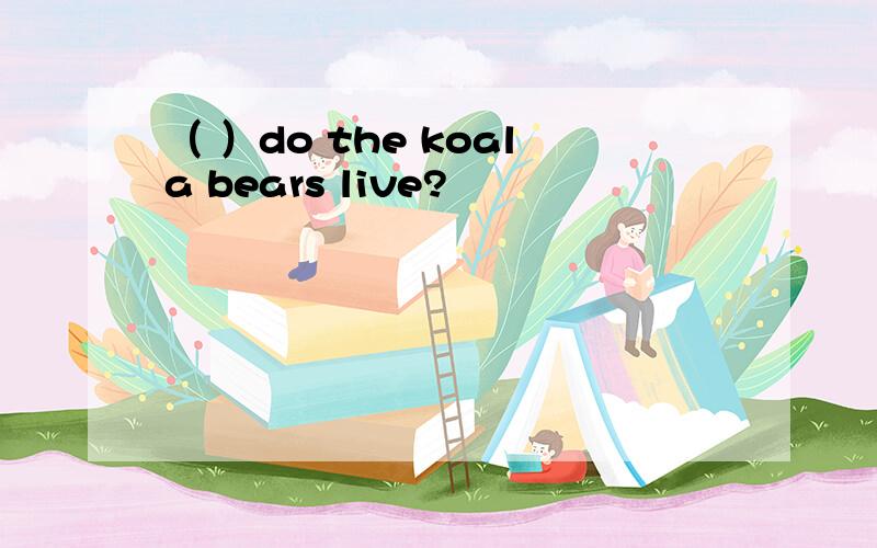 （ ）do the koala bears live?