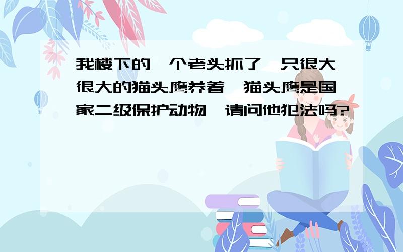 我楼下的一个老头抓了一只很大很大的猫头鹰养着,猫头鹰是国家二级保护动物,请问他犯法吗?