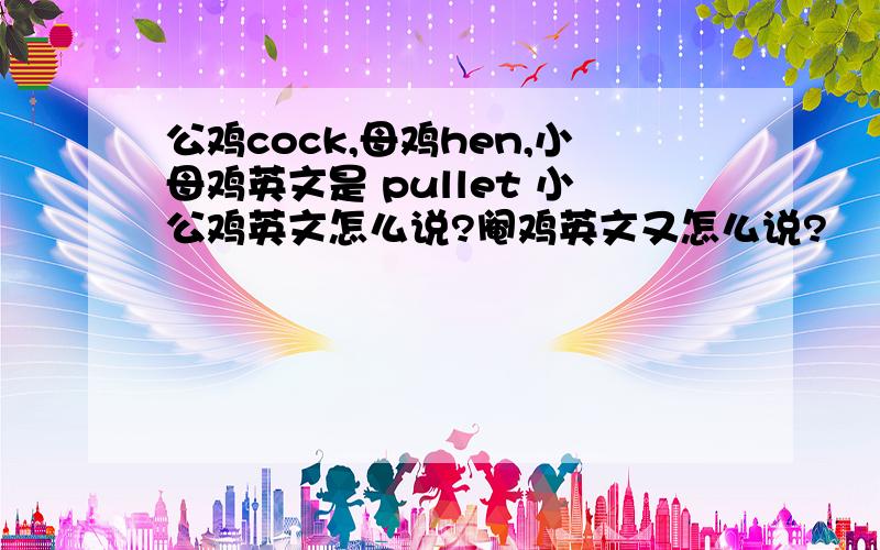 公鸡cock,母鸡hen,小母鸡英文是 pullet 小公鸡英文怎么说?阉鸡英文又怎么说?