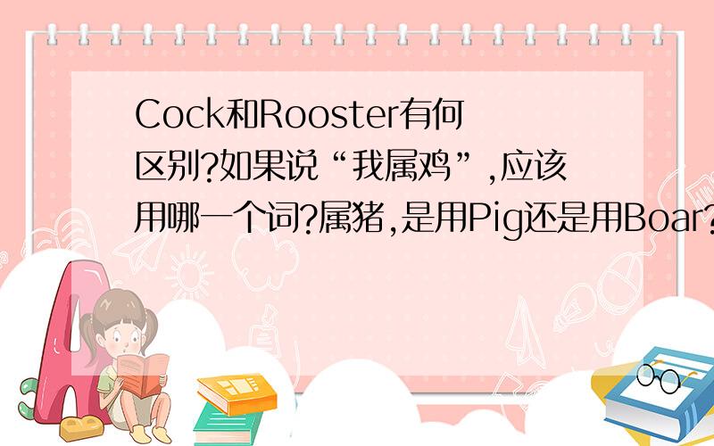 Cock和Rooster有何区别?如果说“我属鸡”,应该用哪一个词?属猪,是用Pig还是用Boar?