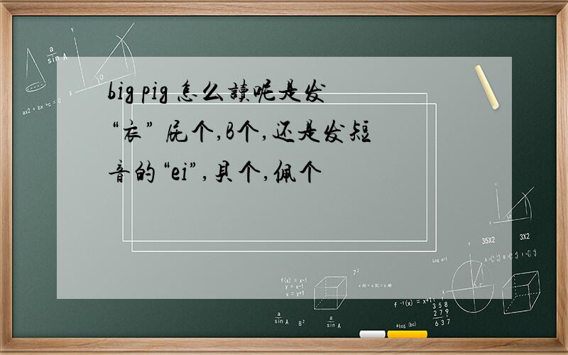 big pig 怎么读呢是发“衣” 屁个,B个,还是发短音的“ei”,贝个,佩个