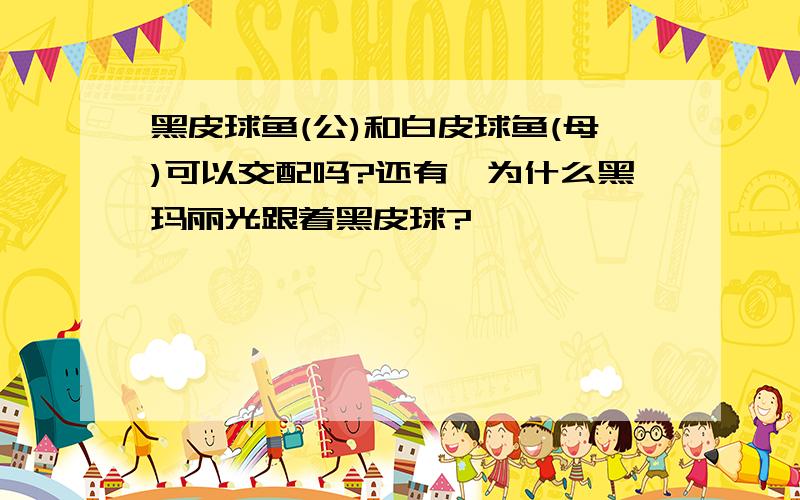 黑皮球鱼(公)和白皮球鱼(母)可以交配吗?还有,为什么黑玛丽光跟着黑皮球?