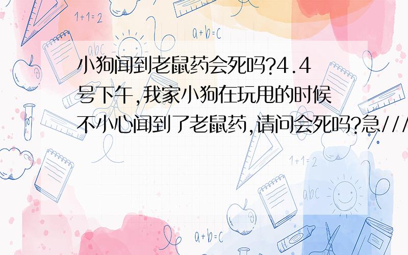 小狗闻到老鼠药会死吗?4.4号下午,我家小狗在玩甩的时候不小心闻到了老鼠药,请问会死吗?急///`~```