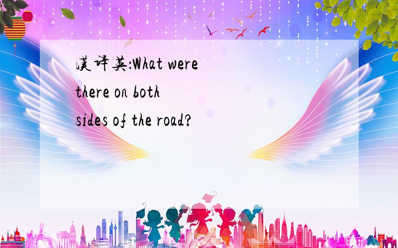 汉译英：What were there on both sides of the road?