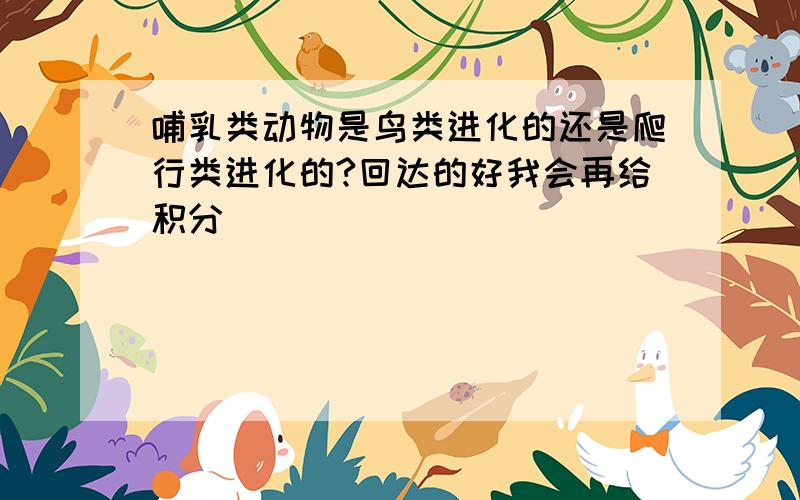 哺乳类动物是鸟类进化的还是爬行类进化的?回达的好我会再给积分