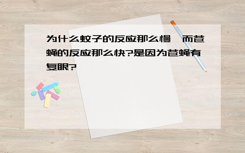 为什么蚊子的反应那么慢,而苍蝇的反应那么快?是因为苍蝇有复眼?