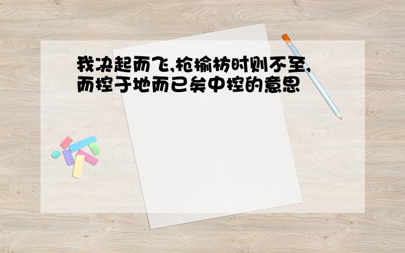 我决起而飞,枪榆枋时则不至,而控于地而已矣中控的意思