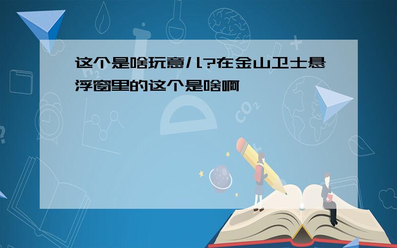 这个是啥玩意儿?在金山卫士悬浮窗里的这个是啥啊