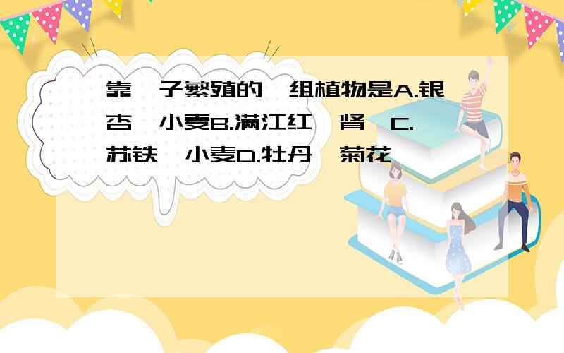 靠孢子繁殖的一组植物是A.银杏、小麦B.满江红、肾蕨C.苏铁、小麦D.牡丹、菊花