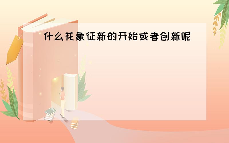 什么花象征新的开始或者创新呢