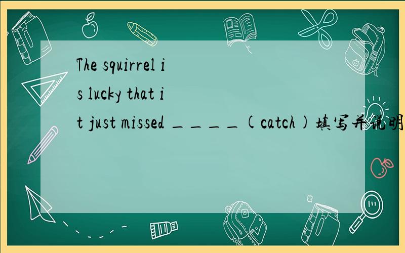 The squirrel is lucky that it just missed ____(catch)填写并说明理由为什么是 being caught