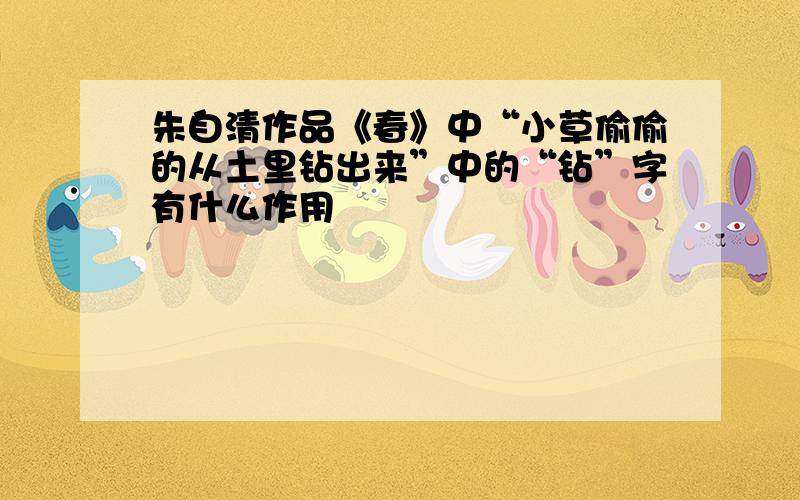 朱自清作品《春》中“小草偷偷的从土里钻出来”中的“钻”字有什么作用