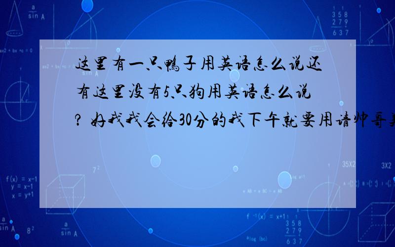 这里有一只鸭子用英语怎么说还有这里没有5只狗用英语怎么说? 好我我会给30分的我下午就要用请帅哥美女快点啊！！！！！！！