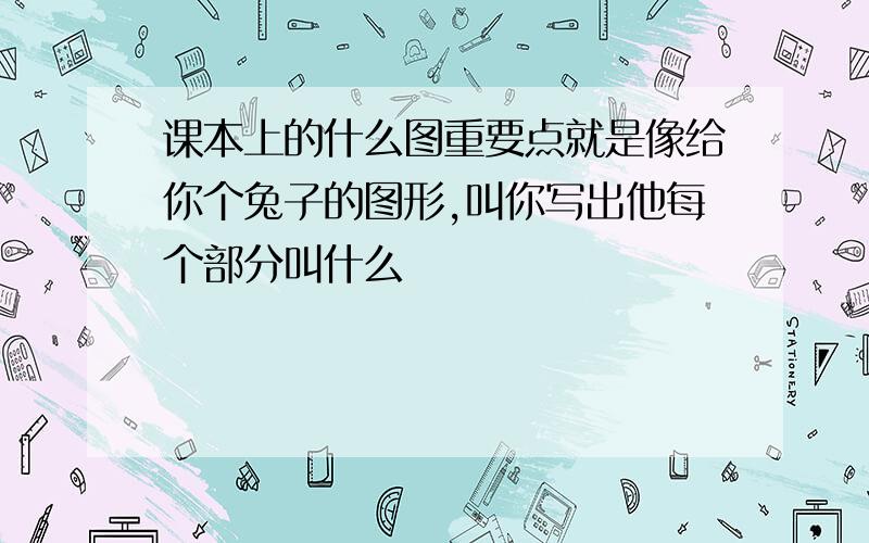 课本上的什么图重要点就是像给你个兔子的图形,叫你写出他每个部分叫什么