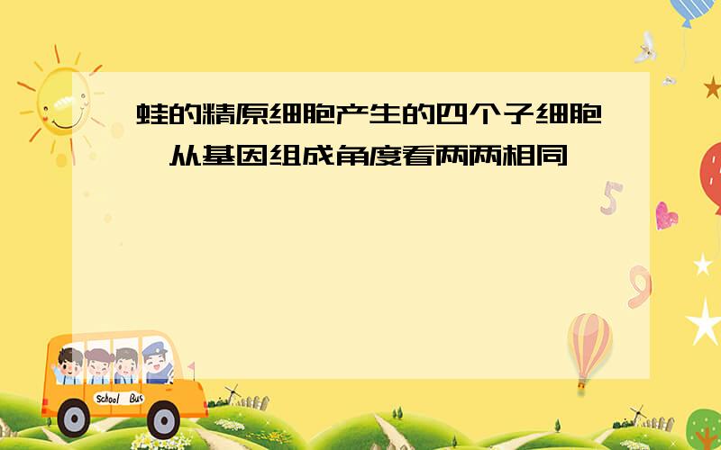 蛙的精原细胞产生的四个子细胞,从基因组成角度看两两相同