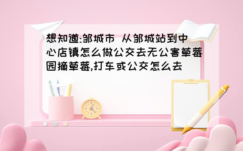 想知道:邹城市 从邹城站到中心店镇怎么做公交去无公害草莓园摘草莓,打车或公交怎么去