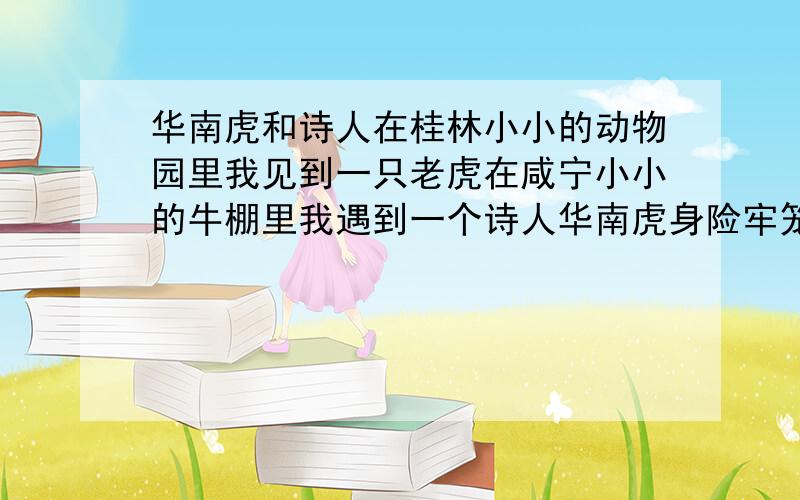 华南虎和诗人在桂林小小的动物园里我见到一只老虎在咸宁小小的牛棚里我遇到一个诗人华南虎身险牢笼几经渴求、抗争终于明白——不能低下高昂的头颅.诗人身险囹圄几经彷徨、呐喊终于